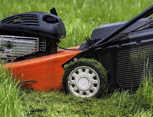 Dummy Blog Post One For Now